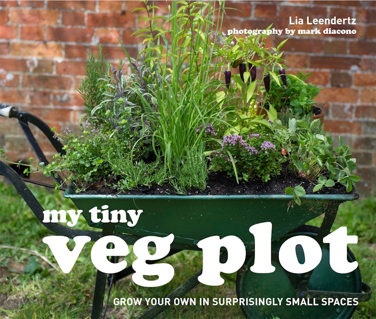 Cover image for My Tiny Veg Plot: Stylish Ideas For Growing Your Own, isbn: 9781910496053