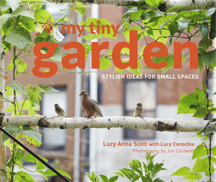 Cover image for My Tiny Garden, isbn: 9781910496541