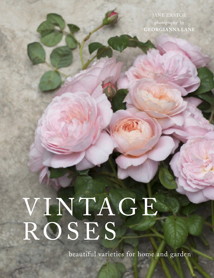 Cover image for Vintage Roses: Beautiful Varieties for Home and Garden, isbn: 9781910496909