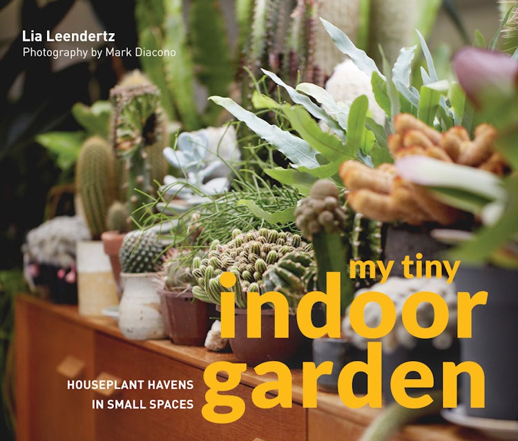 Cover image for My Tiny Indoor Garden: Houseplant Havens in Small Spaces, isbn: 9781910904992