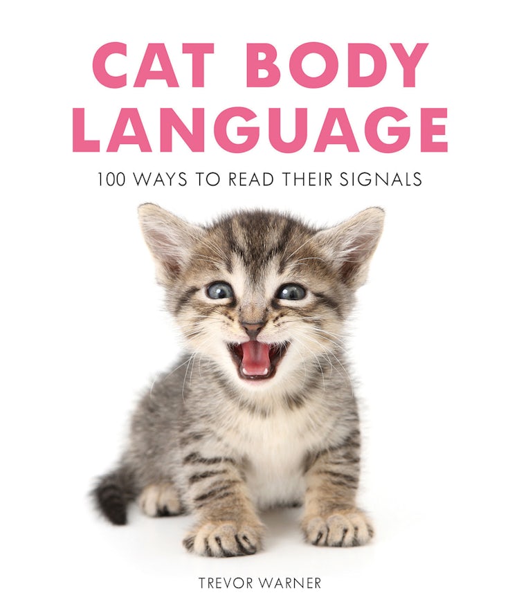 Cover image for Cat Body Language: 100 Ways To Read Their Signals, isbn: 9781911163404