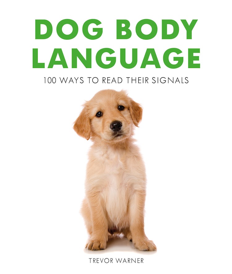 Cover image for Dog Body Language: 100 Ways To Read Their Signals, isbn: 9781911163411