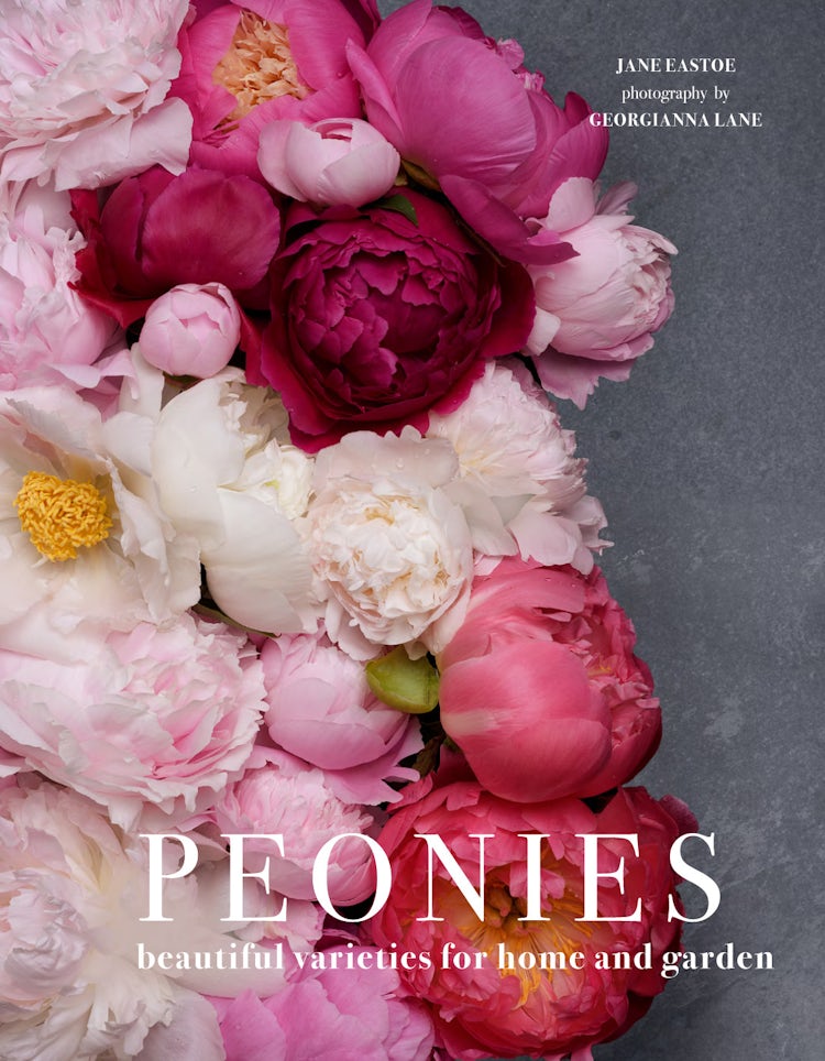 Cover image for Peonies: Beautiful Varieties For Home And Garden, isbn: 9781911216902