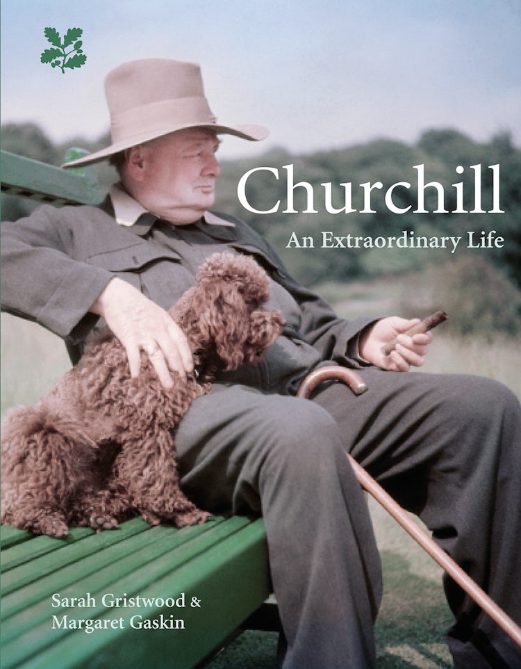 Cover image for Churchill: An Extraordinary Life, isbn: 9781911358534
