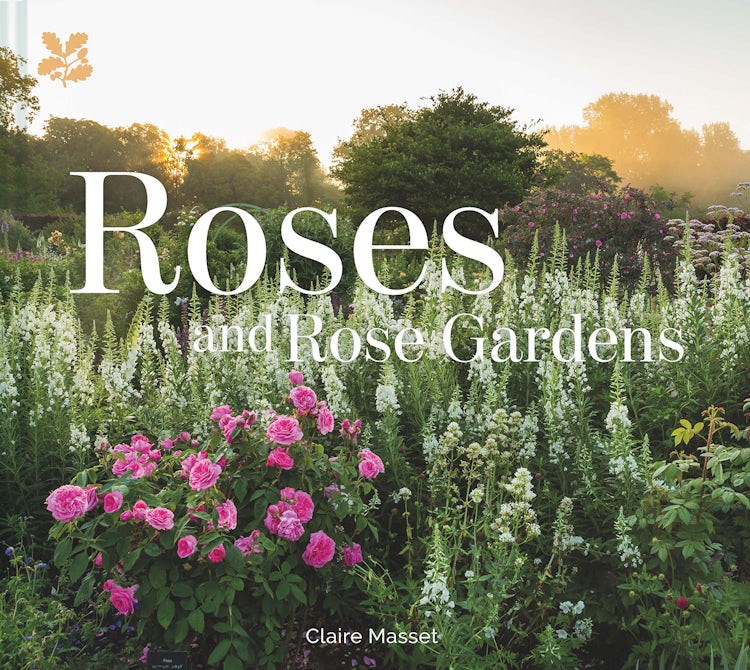 Cover image for Roses And Rose Gardens, isbn: 9781911358688