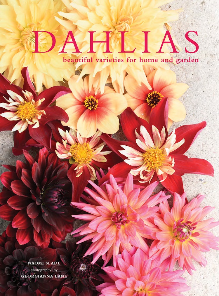 Cover image for Dahlias: Beautiful Varieties For Home And Garden, isbn: 9781911595250