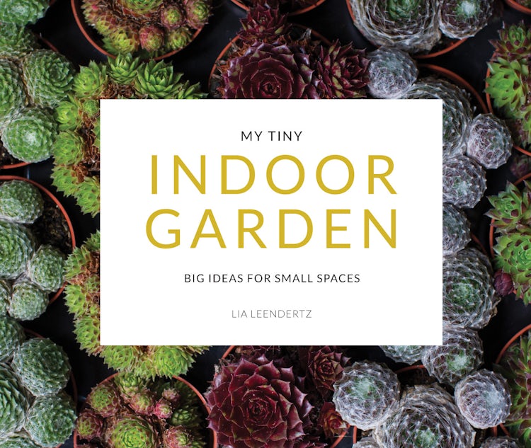 Cover image for My Tiny Indoor Garden: Big Ideas For Small Spaces, isbn: 9781911624196