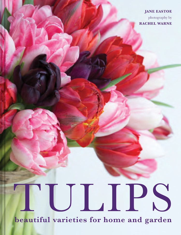 Cover image for Tulips: Beautiful Varieties For Home And Garden, isbn: 9781911624288
