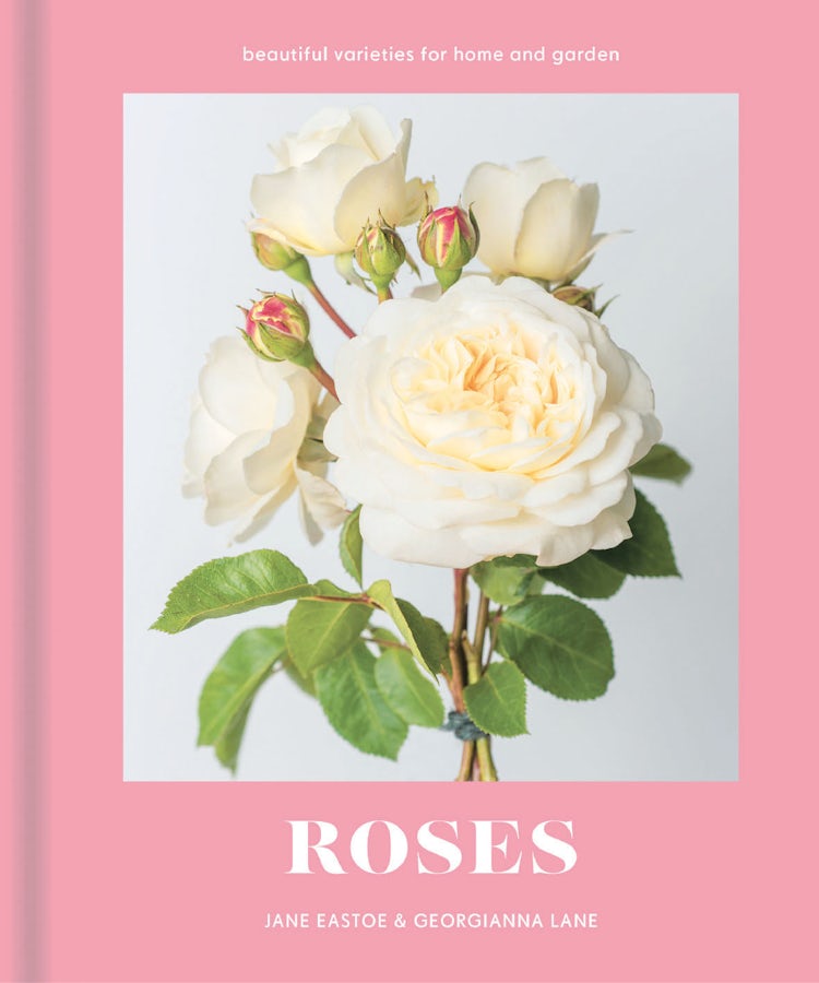 Cover image for Roses: Beautiful Varieties For Home And Garden, isbn: 9781911641001