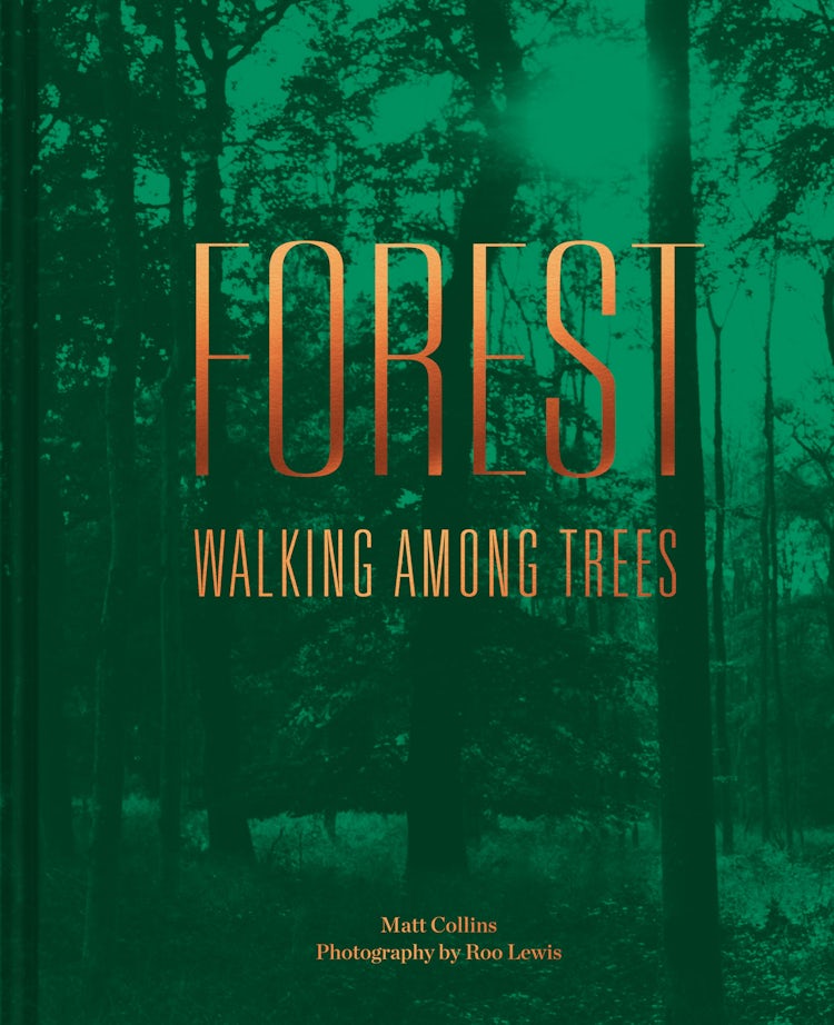 Cover image for Forest: Walking among trees, isbn: 9781911641179