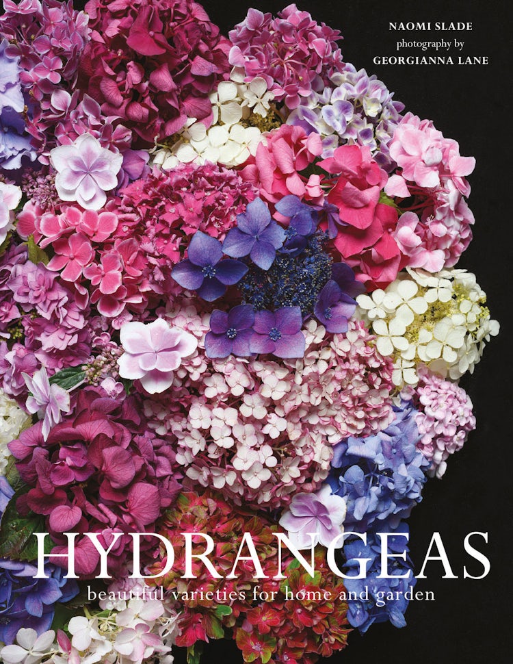 Cover image for Hydrangeas: Beautiful Varieties For Home And Garden, isbn: 9781911641230