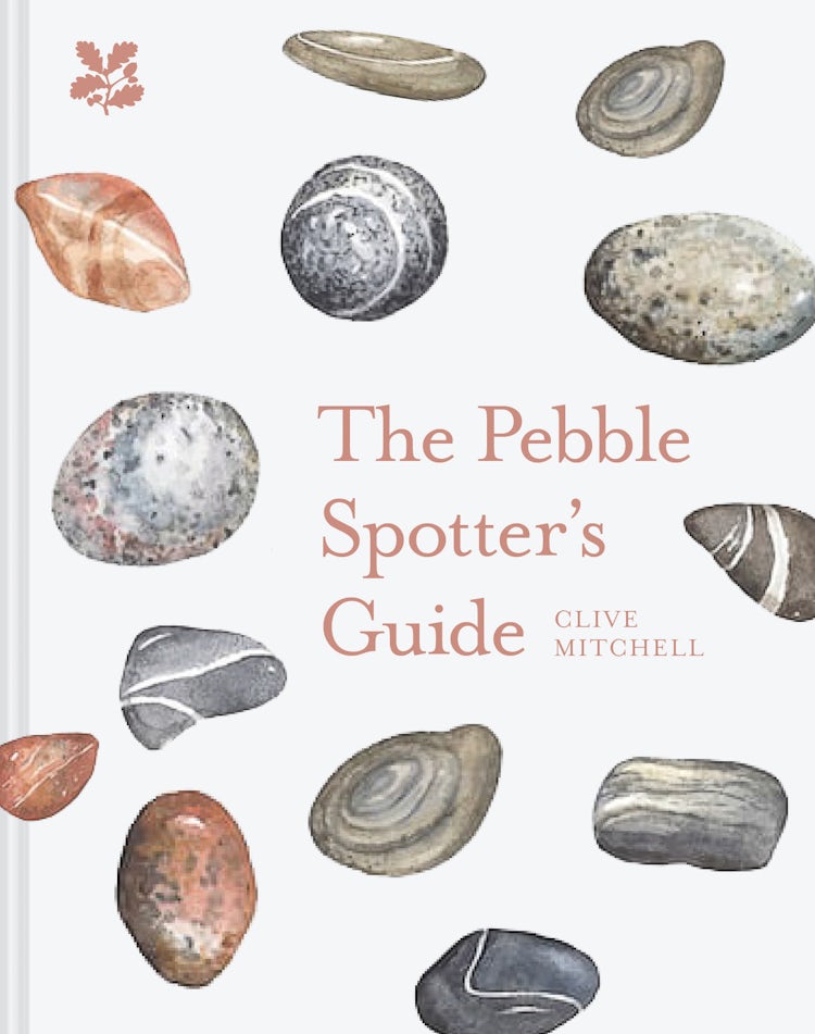 Cover image for The Pebble Spotter's Guide, isbn: 9781911657309