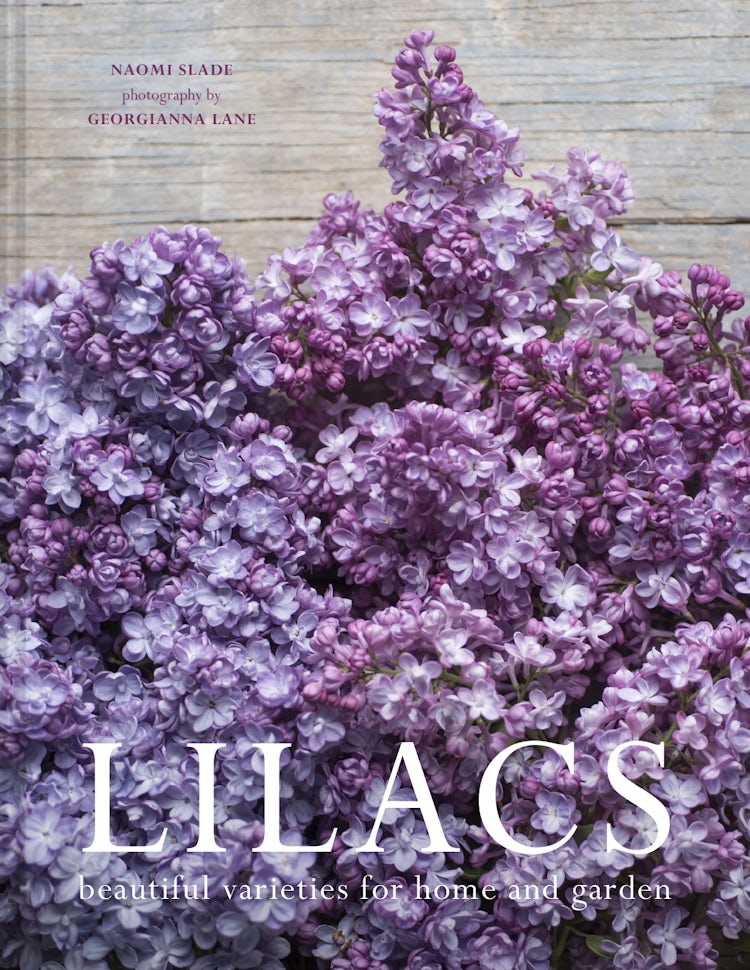 Cover image for Lilacs: Beautiful varieties for home and garden, isbn: 9781911663966
