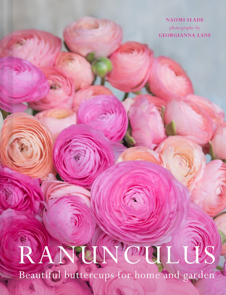 Cover image for Ranunculus, isbn: 9781911663973