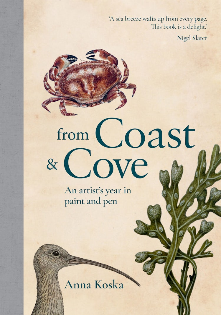 Cover image for From Coast & Cove: An artist’s year in paint and pen, isbn: 9781911670186