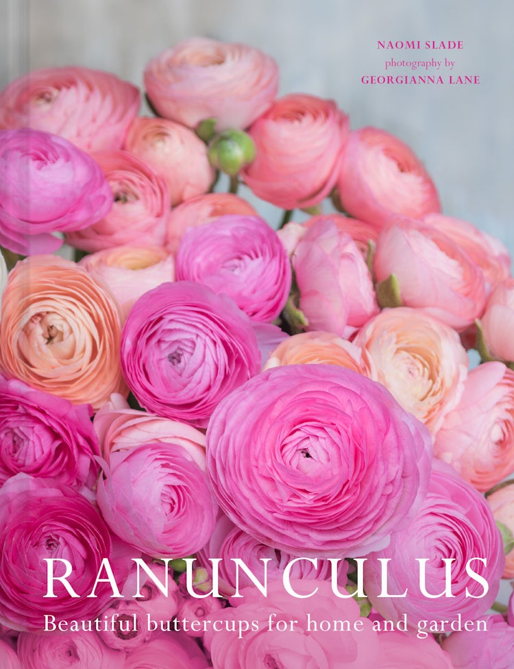 Cover image for Ranunculus: Beautiful buttercups for home and garden, isbn: 9781911670223
