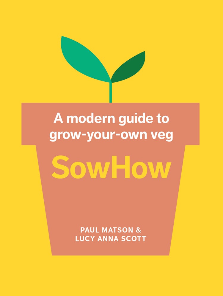 Cover image for SowHow: A Modern Guide to Grow-Your-Own Veg, isbn: 9781911670339