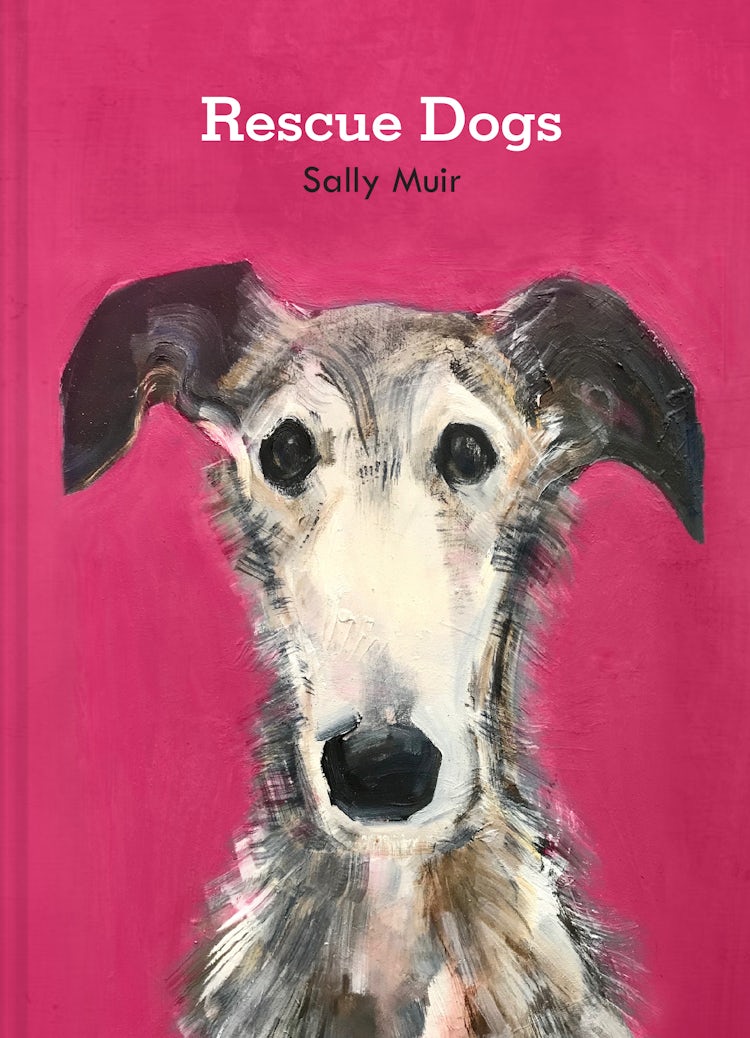 Cover image for Rescue Dogs, isbn: 9781911682783