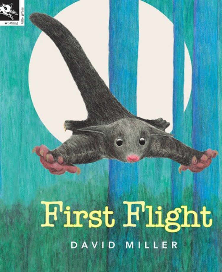 Cover image for First Flight, isbn: 9781921504655