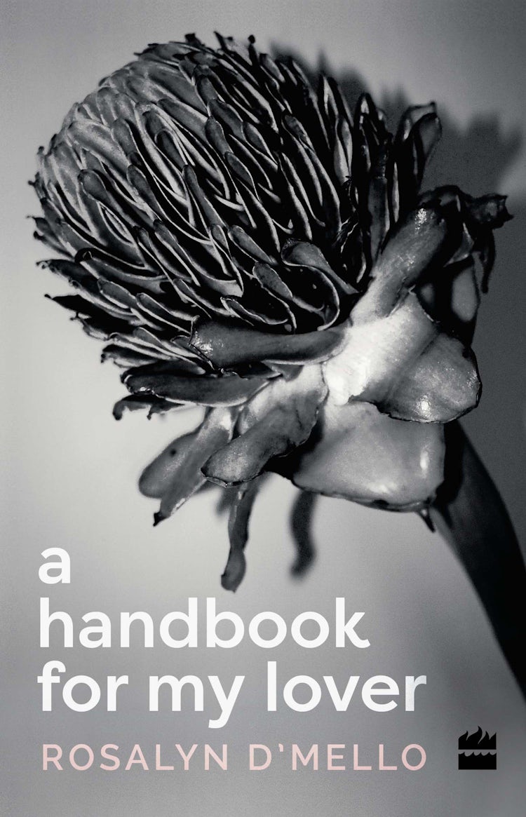 Cover image for Handbook For My Lover, isbn: 9789351776406