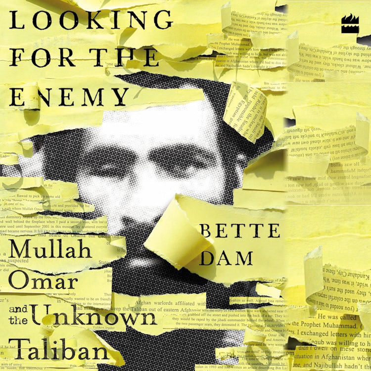 Cover image for Looking for the Enemy, isbn: 9789354893063
