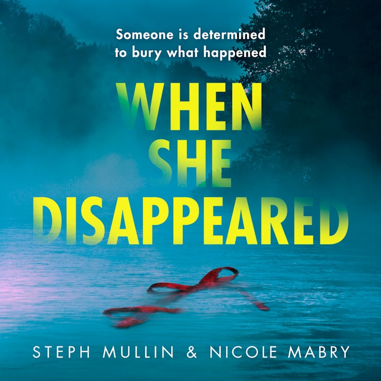 Cover image for When She Disappeared: The twisty new psychological thriller that will keep you turning the pages, isbn: 9780008461294