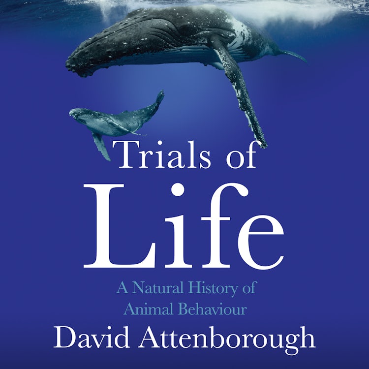 Cover image for The Trials of Life: A Natural History of Animal Behaviour, isbn: 9780008477875