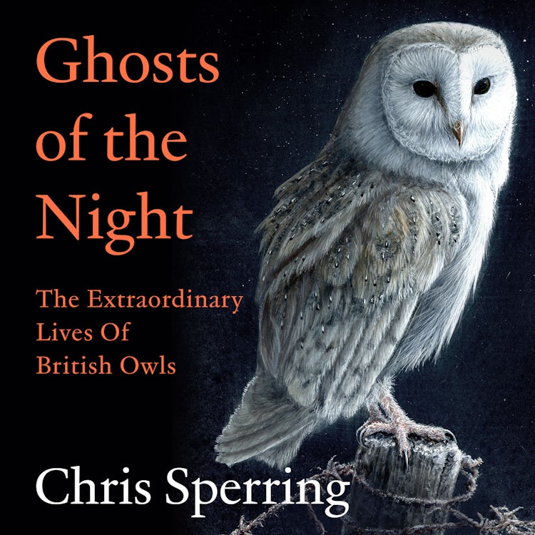 Cover image for Ghosts of the Night: The definitive guide to British Owls, isbn: 9780008659226