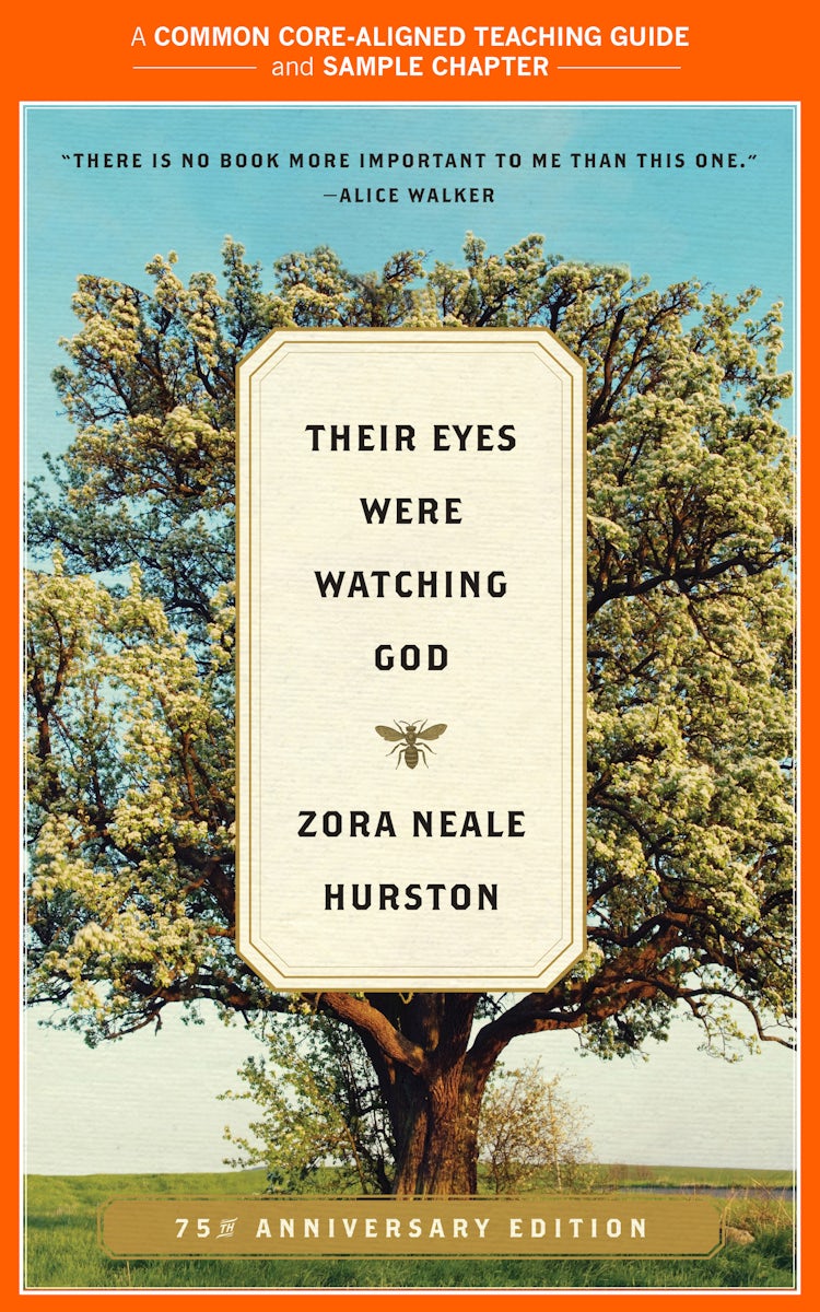 Cover image for A Teacher's Guide to Their Eyes Were Watching God, isbn: 9780062374264