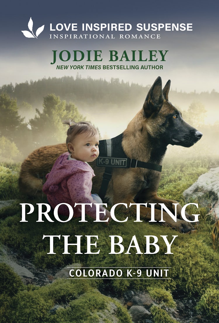 Cover image for Protecting The Baby, isbn: 9781038983664