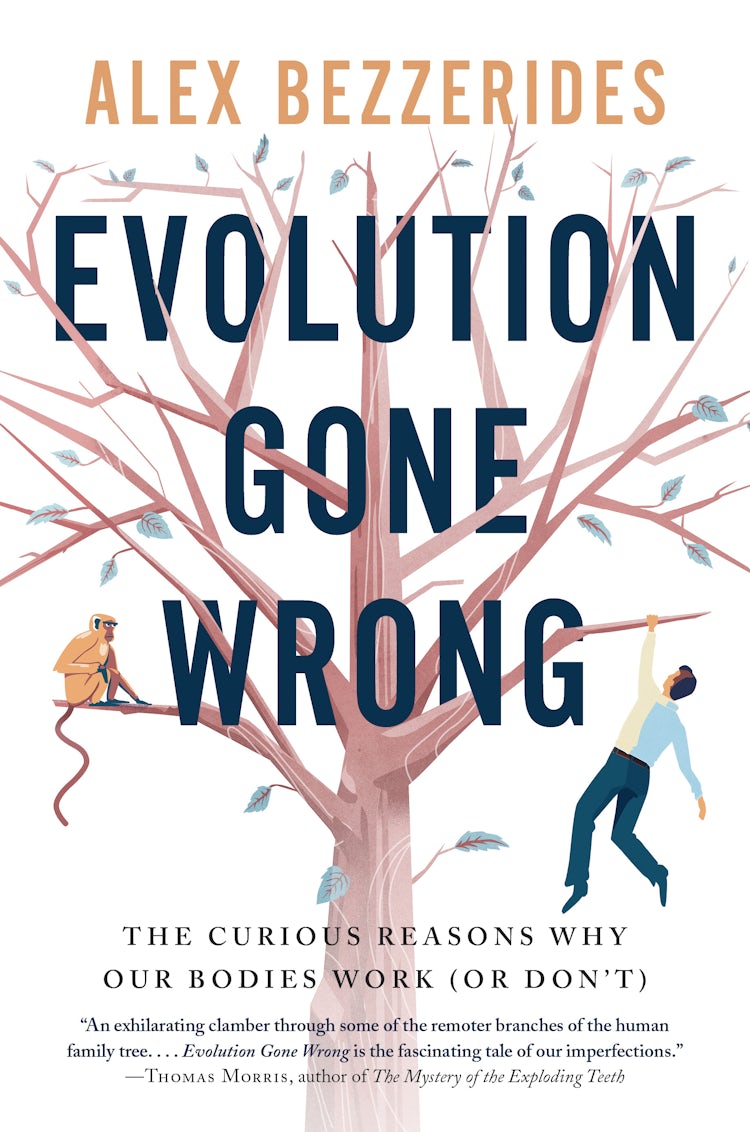 Cover image for Evolution Gone Wrong, isbn: 9781443457026