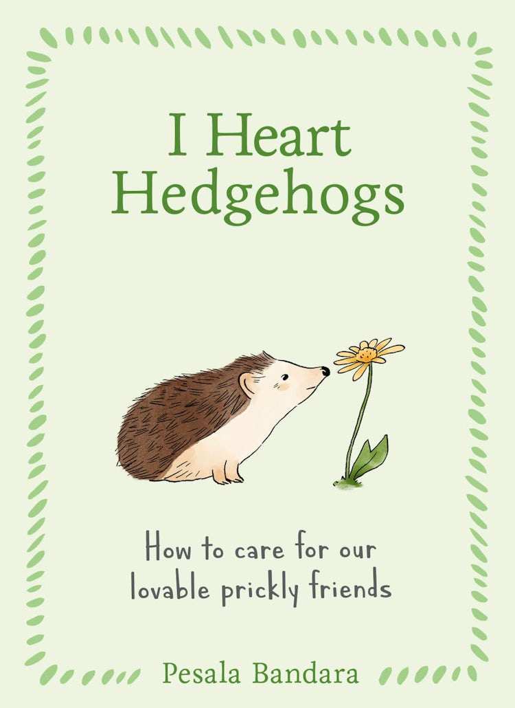 Cover image for I Heart Hedgehogs, isbn: 9780008817060