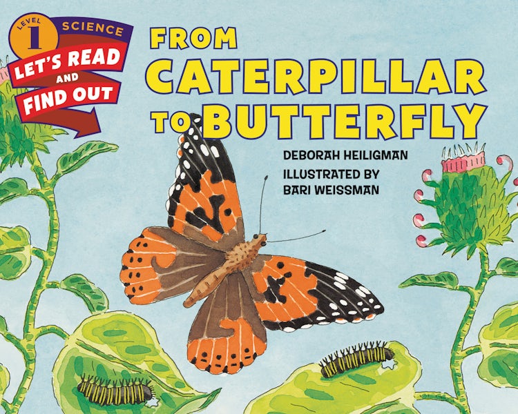 Cover image for From Caterpillar to Butterfly, isbn: 9780062044365