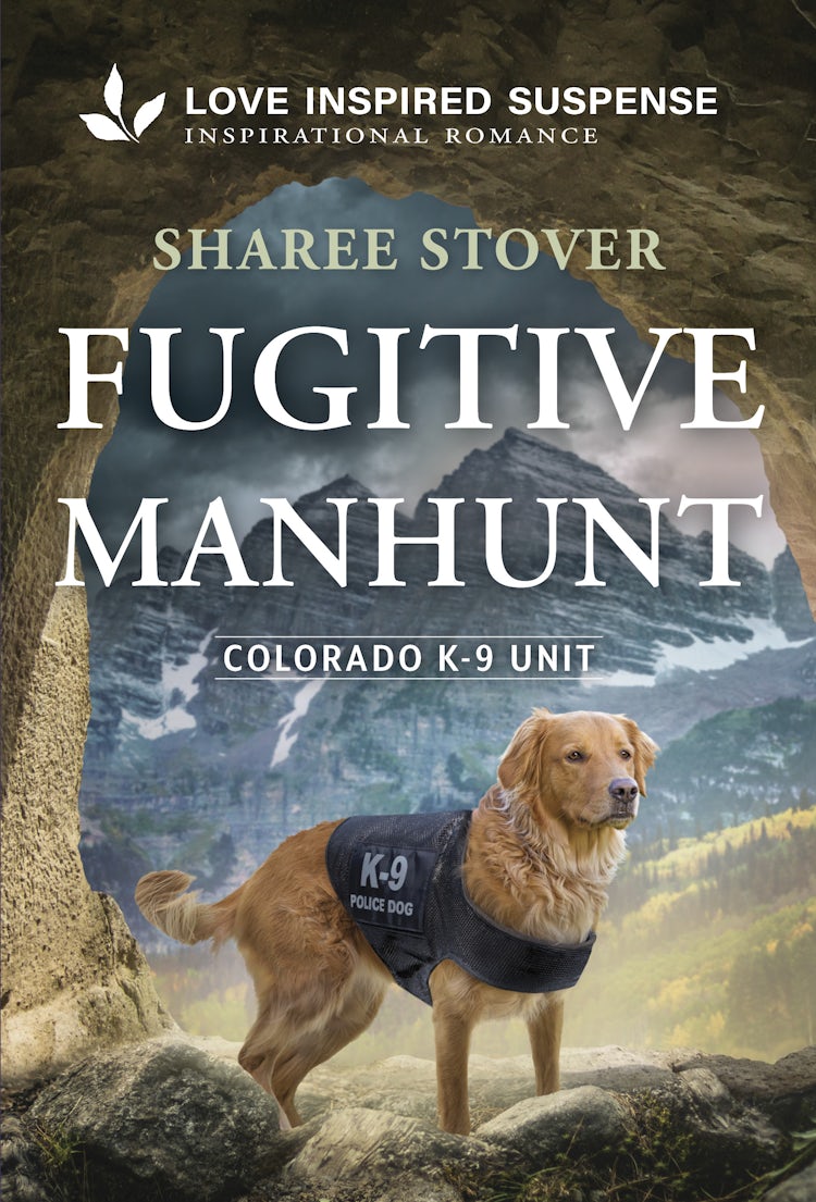 Cover image for Fugitive Manhunt, isbn: 9781038988904