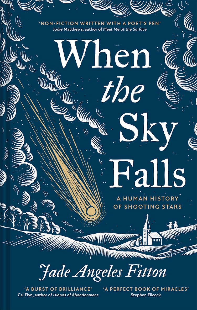 Cover image for When the Sky Falls, isbn: 9781837330652