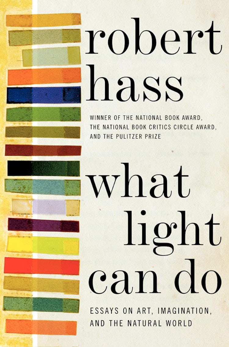 Cover image for What Light Can Do, isbn: 9780062096845