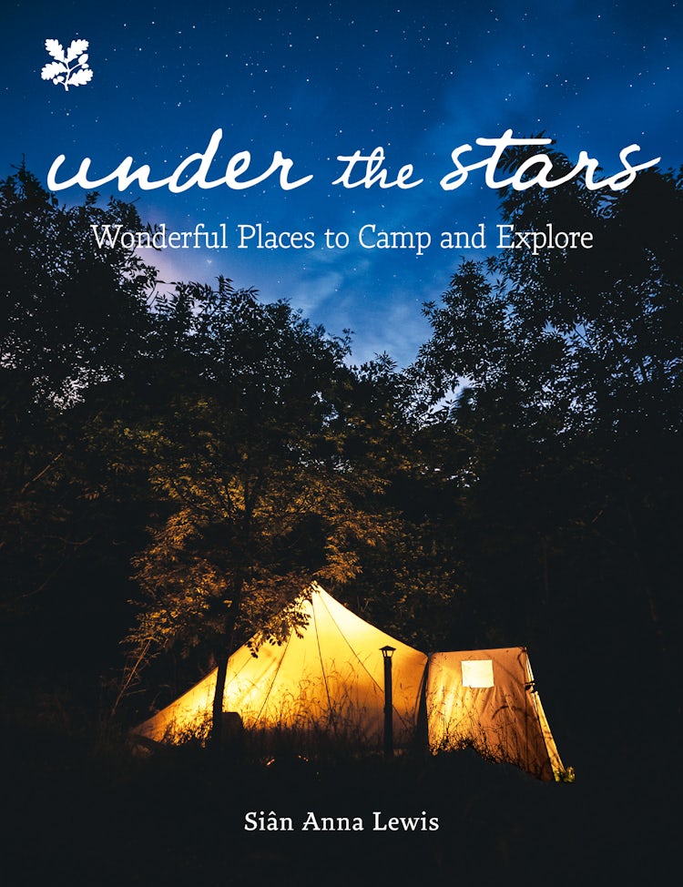Cover image for Under the Stars, isbn: 9780008772352