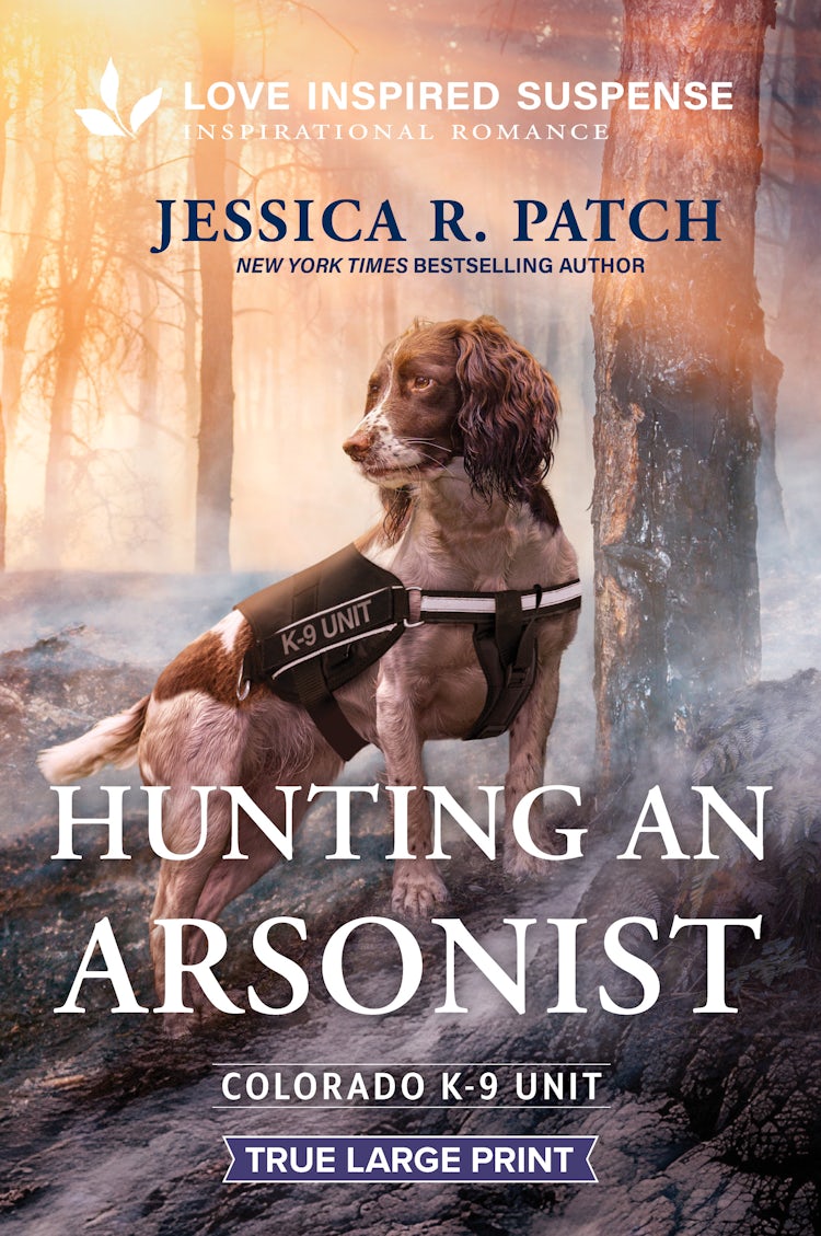 Cover image for Hunting An Arsonist, isbn: 9781038990020