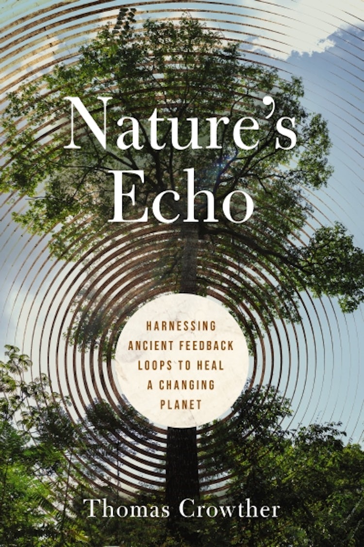 Cover image for Nature's Echo, isbn: 9781400250691