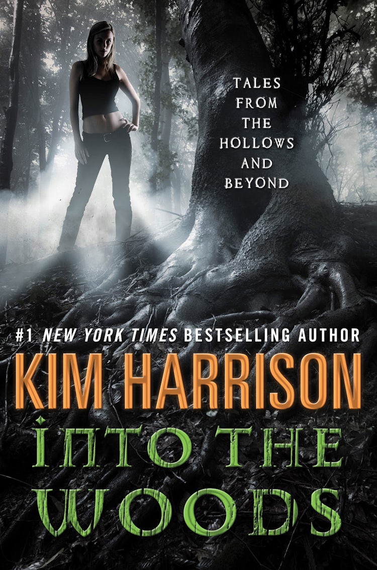 Cover image for Into the Woods, isbn: 9780062207906