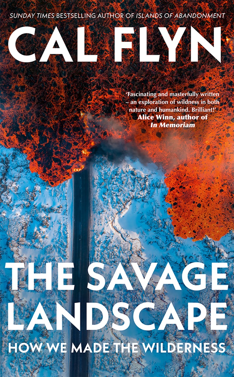 Cover image for The Savage Landscape, isbn: 9780008686529