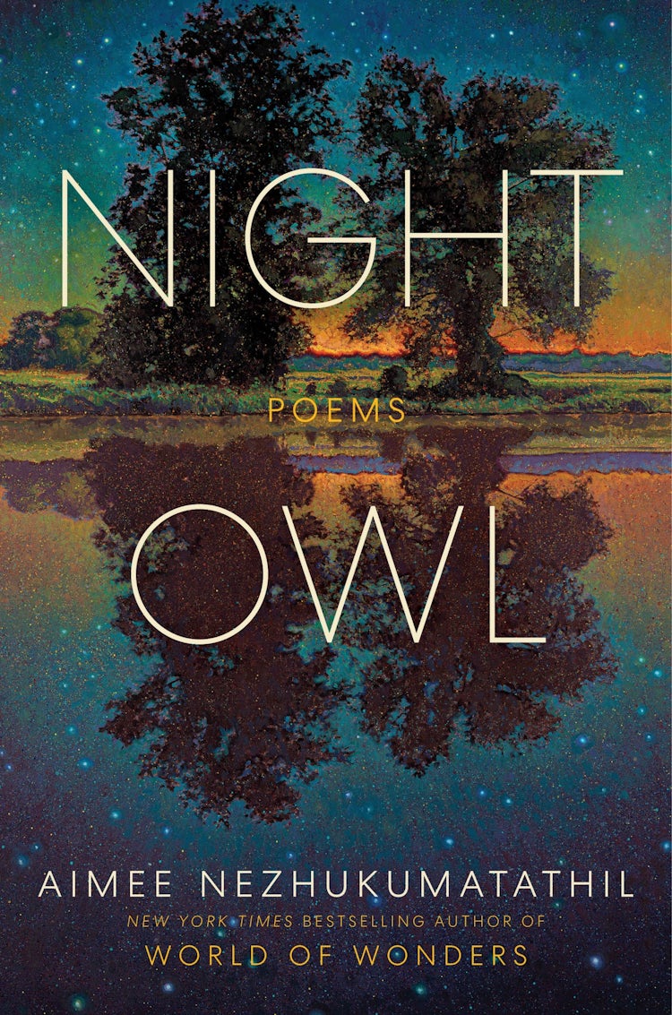 Cover image for Night Owl, isbn: 9780063282339