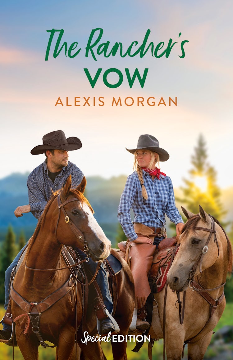 Cover image for The Rancher's Vow, isbn: 9781038984791