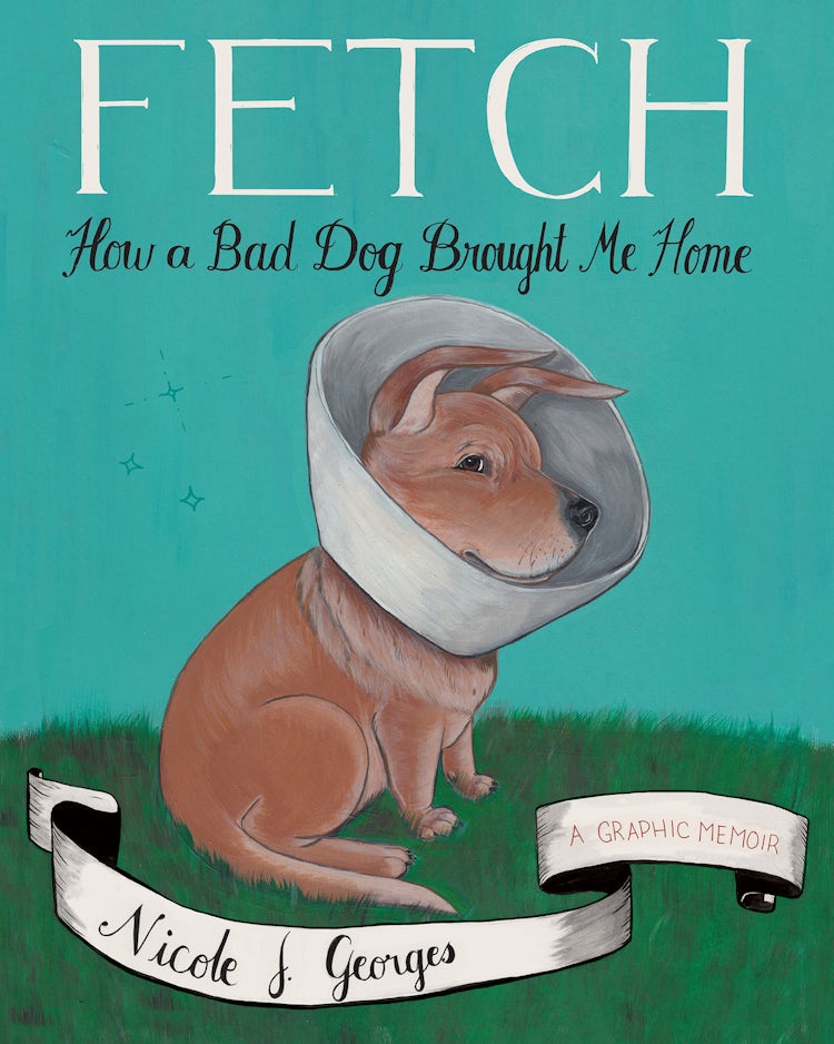 Cover image for Fetch, isbn: 9780544608115