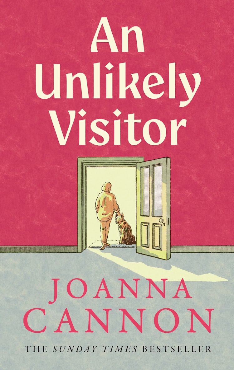 Cover image for An Unexpected Visitor, isbn: 9780008255084