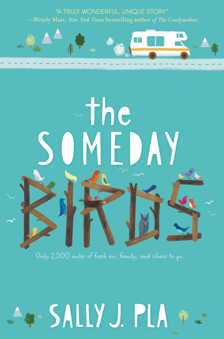Cover image for The Someday Birds, isbn: 9780062445780