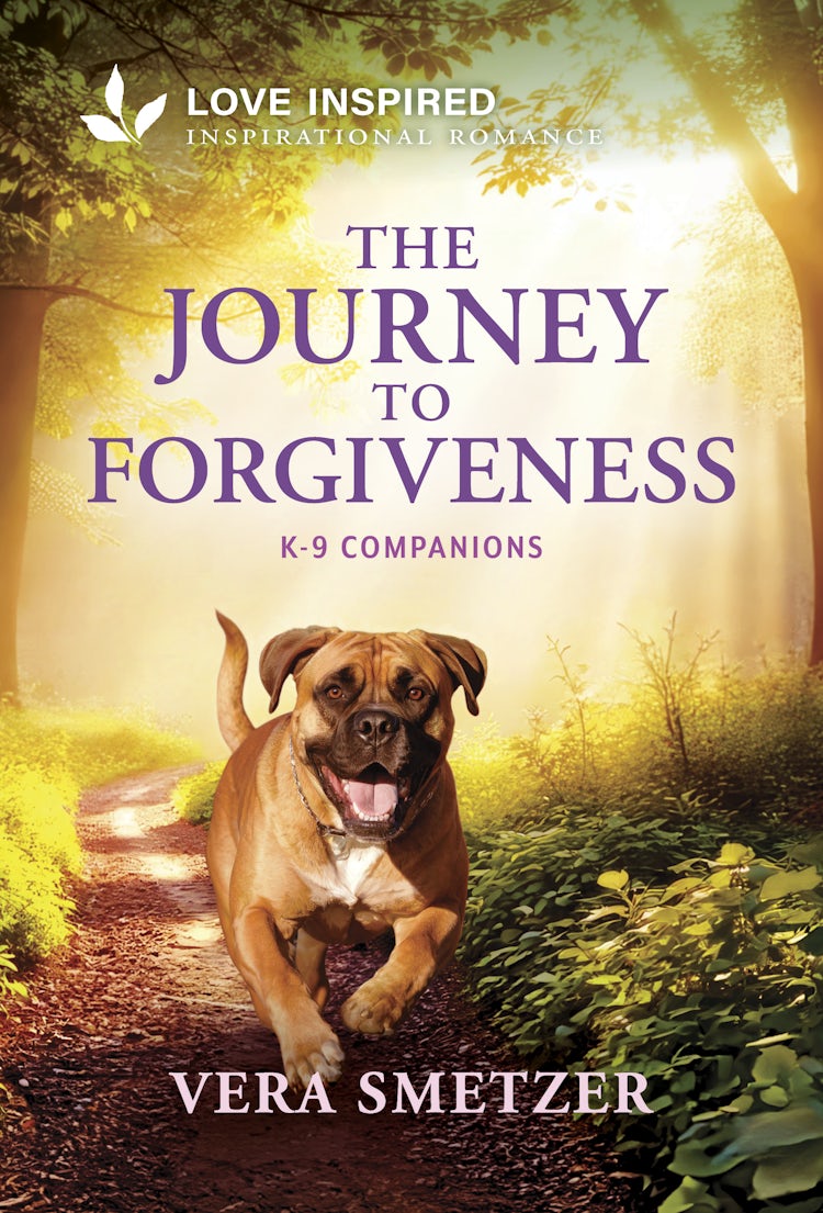 Cover image for The Journey To Forgiveness, isbn: 9781038988843