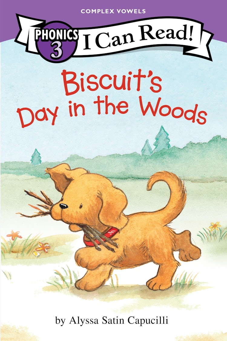 Cover image for Biscuit's Day in the Woods (I Can Read Phonics), isbn: 9780063499119