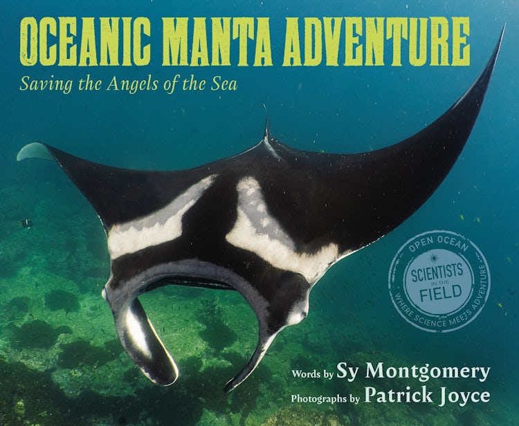Cover image for Oceanic Manta Adventure, isbn: 9780063341913