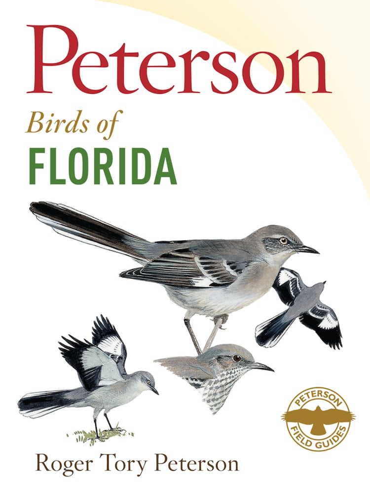 Cover image for Peterson Field Guide To Birds Of Florida, isbn: 9780544022898